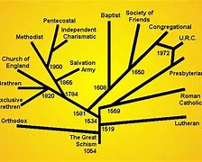 Image result for Philosophy Branches