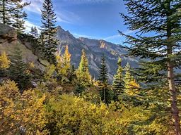 Image result for Fall Colors Pictures