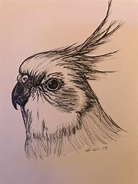 Image result for Pinterest Drawings Imaginary Animals