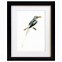 Image result for Quirky Bird Art