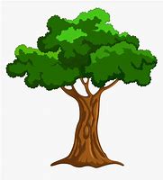 Image result for Clip Art Tree by Water