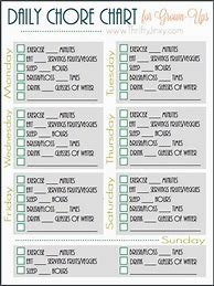 Image result for High Functioning Autism Adult Chore Chart