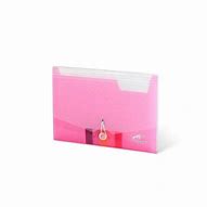 Image result for Expandable Folder Pink