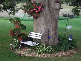 Image result for Landscaping Under Trees