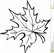 Image result for Tie Dye Maple Leaf SVG