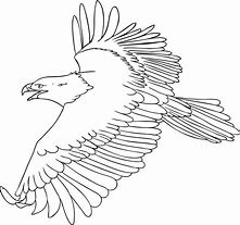 Image result for Cute Eagle Coloring Pages