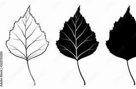 Image result for Birch Leaf Silhouette