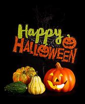 Image result for Halloween Spiders Outdoor