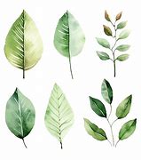 Image result for Desktop Backgrounds Watercolor Leaves