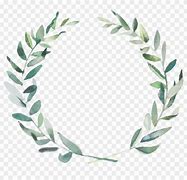 Image result for Watercolor Olive Branch Clip Art