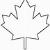 Image result for Maple Leaf Template