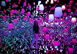 Image result for Los Angeles Digital Art Museum