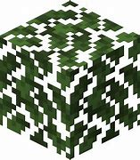 Image result for Minecraft Classic Leaves