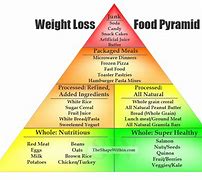 Image result for Food Pyramid Coloring