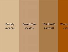 Image result for Tan Ish Purple