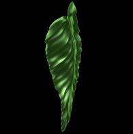 Image result for Leaf Spiral 3D Model