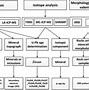 Image result for Enterprise Logical Data Model