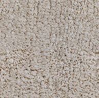 Image result for Texture for Flowery Carpet