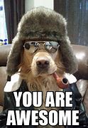 Image result for You're Awesome Dog Meme