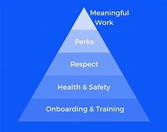 Image result for Modern Human Hierarchy Work-Class