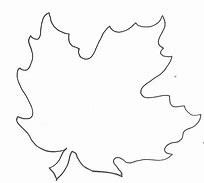 Image result for Maple Leaf Template