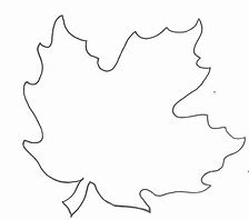 Image result for Printable Real Leaf