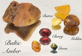 Image result for Different Kinds of Amber