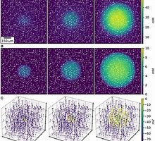 Image result for Diffusion Model Architecture