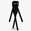 Image result for Minecraft Enderman Skin Template