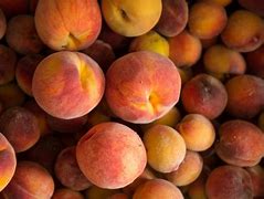 Image result for Fresh Peaches