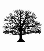 Image result for Tree with No Leaves Silhouette