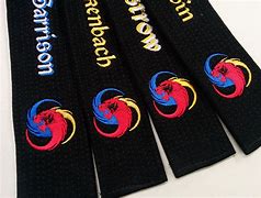 Image result for Black Belt Martial Arts