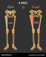 Image result for Human Skeleton Clip Art