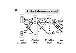 Image result for Neural Network in Human Brain Image