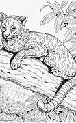 Image result for Cheetah Animal Coloring Pages