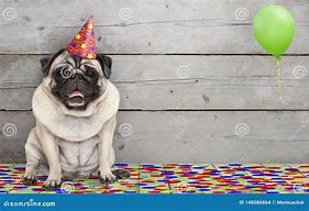 Image result for Happy Birthday Pug Images