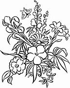 Image result for Apple Tree Coloring Pages for Adults