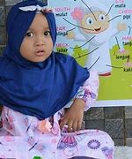 Image result for Anggota Tubuh Anima Si