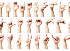 Image result for Sign Language Hand Symbols