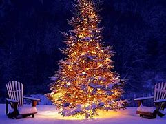 Image result for Rustic Outdoor Christmas Decorations