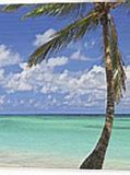 Image result for Tropical Island Wall Art