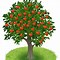 Image result for Apple Tree Vector