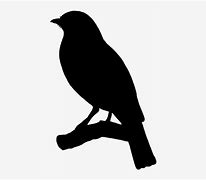 Image result for Bird On a Branch Silhouette Pattern