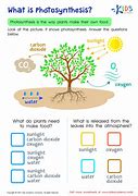 Image result for Photosynthesis for Kids Black and White