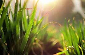 Image result for Nature Desktop Wallpaper 4K