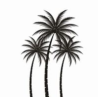 Image result for Two Palm Trees Silhouette