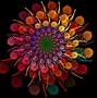 Image result for Bright Colored Flowers