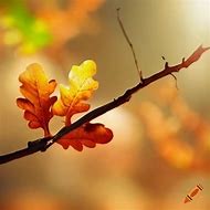 Image result for Tree Branch to Lie Down