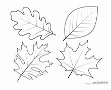 Image result for Coloring Picture of Leaf