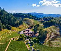 Image result for Silver Oak Napa Valley Cabernet Sauvignon